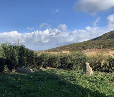 F3 COL SAN STEFANO - OLMETA DI TUDA - Photo 1