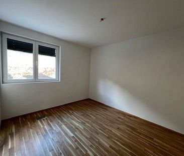 Splendide appartement de 4.5 pièces située au rez-de-chaussée dans ... - Photo 1