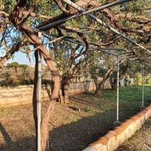 Μονοκατοικία για ενοικίαση - Κορωπί, - Photo 1