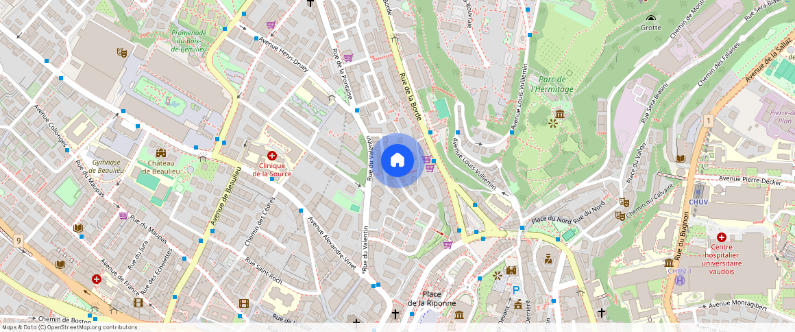 Rue du Petit-Valentin **, 1004, Lausanne