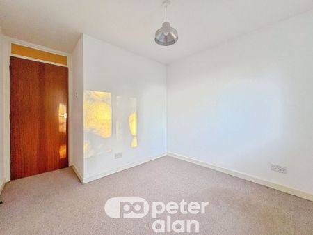 Celyn Avenue, Cyncoed, Cardiff - Photo 4