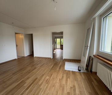 Gemütliche 3.5-Zimmer-Wohnung in Wallisellen - Photo 1