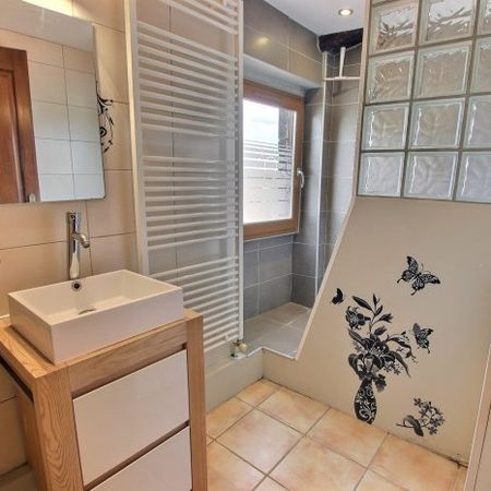 MONTFERRAND- APPT T2 AVEC MEZZANINE - Photo 3