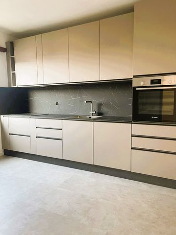 MENDRISIO – RISTRUTTURATO CON VISTA APERTA ED AMPI SPAZI - Photo 4