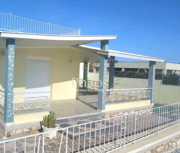 Μονοκατοικία για ενοικίαση Περιβόλια (Ραφήνα) - Photo 5