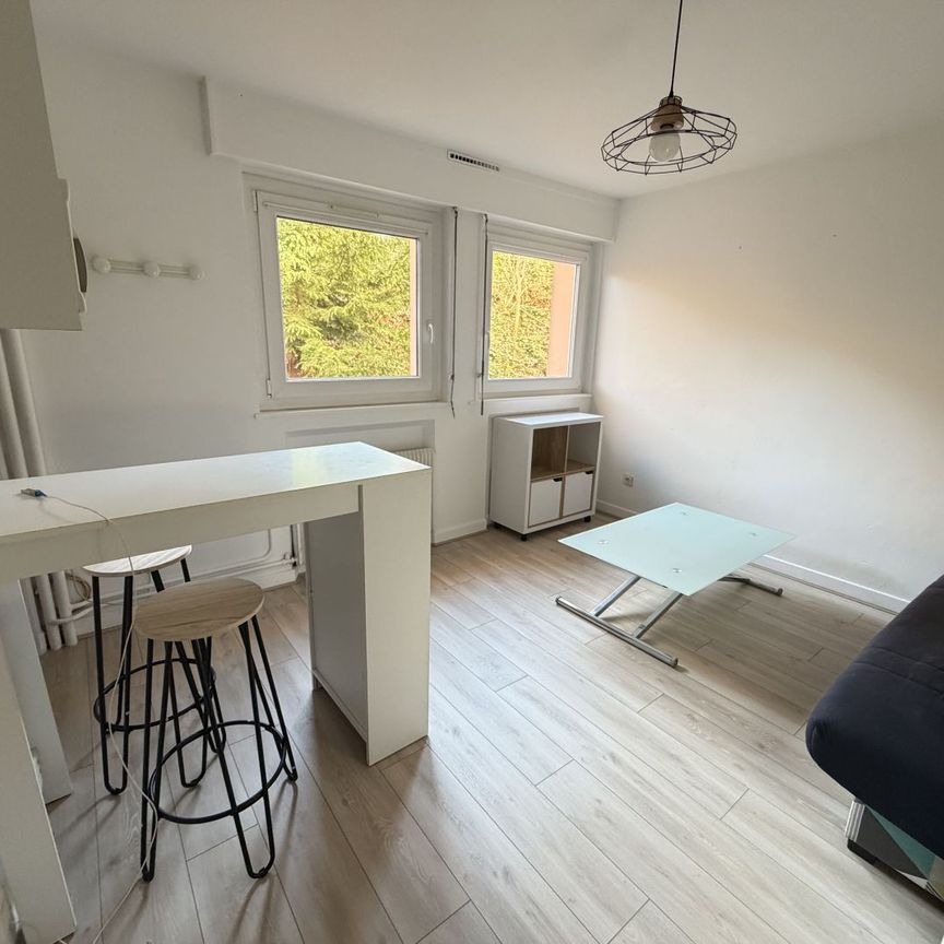 Location Appartement 1 pièce 17m² CHALON SUR SAONE 71100 - Photo 1