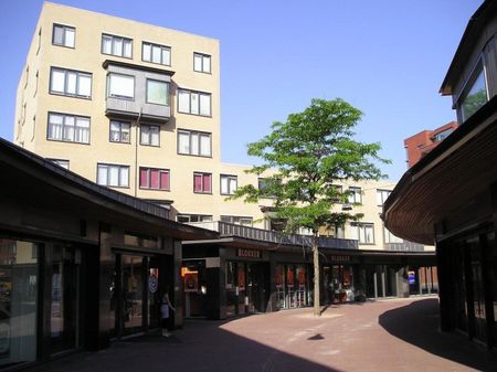 Van der Capellenstraat 127, 8014 VW Zwolle - Foto 4