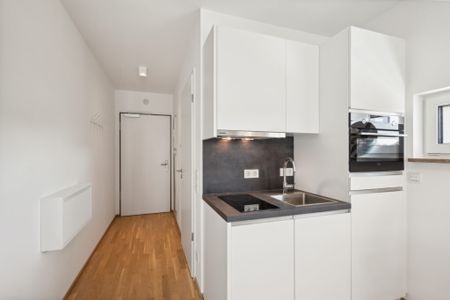 Perfekt für Studenten! 1- Zimmer-Apartment im Augusta & Luca mit Dachterrasse - Photo 5