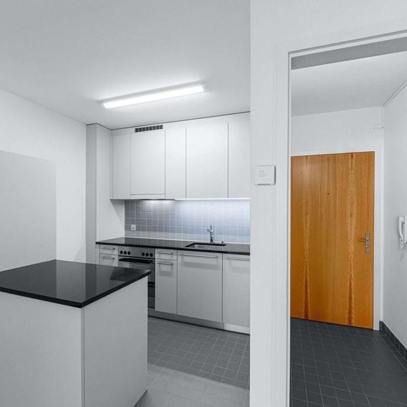 Quiet residential area near the University of Basel - Foto 1