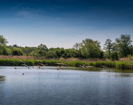 Emerald Avenue, Fleet, Hampshire, GU51 - Photo 2