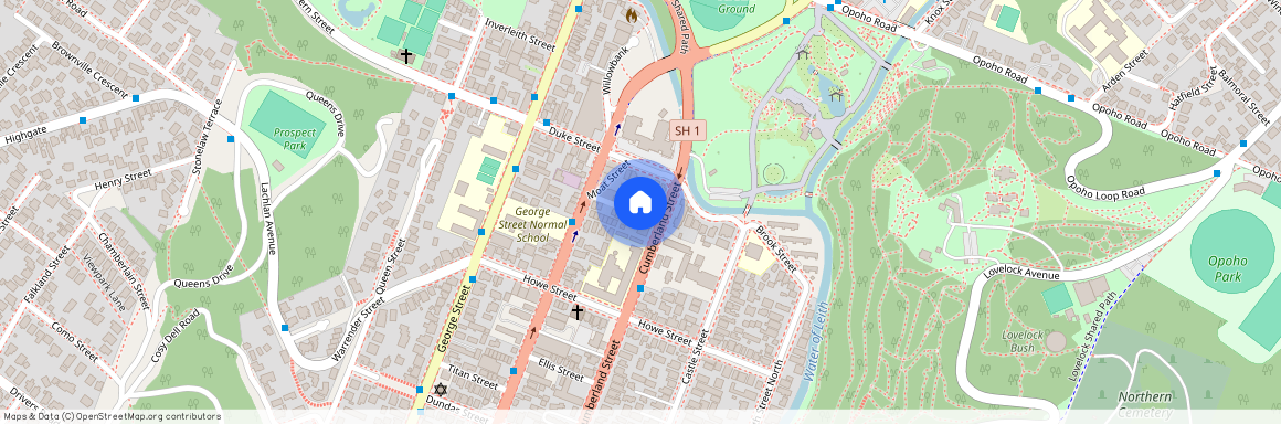 12 Mackenzie Street, North Dunedin, Dunedin City