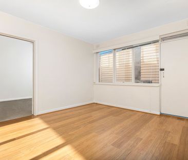 Spacious Ground Floor Apartment in Prime Balaclava Location **Appli... - Photo 4