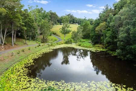 "Sarah's Farm"; Magical Mountain Views - Photo 4
