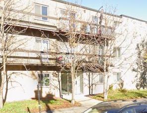 Beau 3 1/2 à louer dans Rosemont/La Petite Patrie. - Photo 1