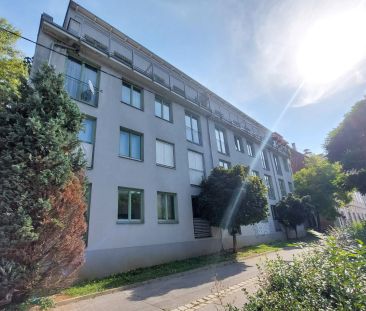 SINGLE-HIT: Schöne Klein-Wohnung bei der KF-UNI mit TERRASSE - Hein... - Foto 3