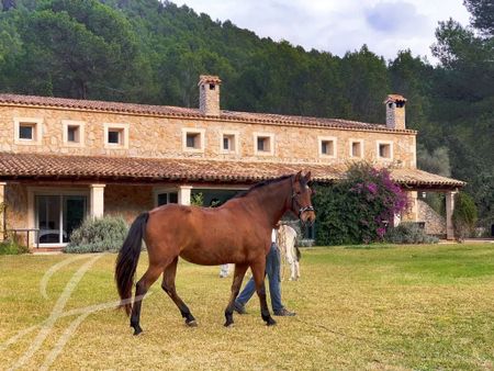 Luxury Villa for rent in Esporles, Balearic Islands - Photo 3