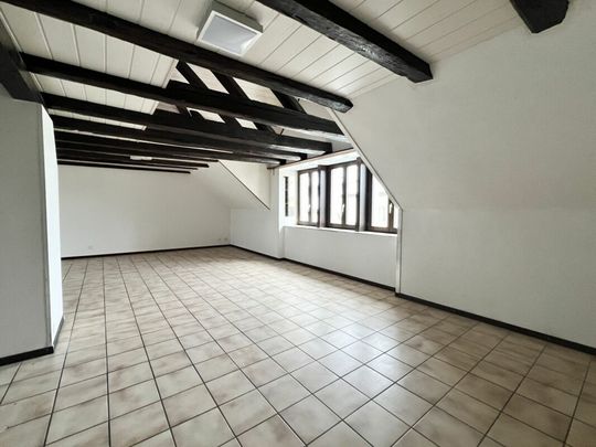 Spacious 5.5-room duplex - Photo 1