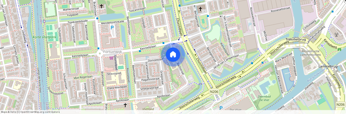 Fortuinwijk-Zuid, 2324 HE, Bachstraat, Leiden