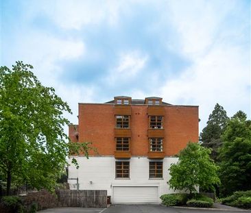 30 Sequoia Building, Redwood Grove, Dunmurry , BT17 9FE - Photo 6