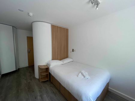 Bronze En-Suite (Large) - Standard View | Lower Level - Photo 4
