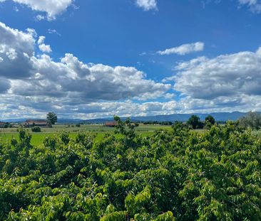 Frisch renovierte 3.5 Zimmer Wohnung an ruhiger und zentraler Lage ... - Foto 4