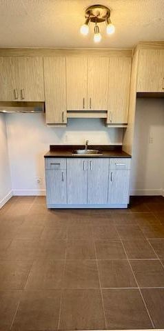 SUPERBE 3 1/2 RÉNOVÉ TOUT BÉTON - À VOIR! - Photo 1