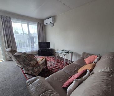 Two Bedroom Unit, Blenheim - Photo 1