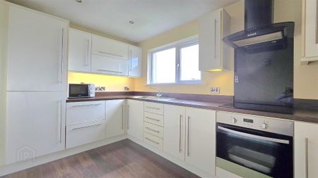 31 Spence Crescent, Cullybackey, Ballymena, BT42 1BR - Photo 4