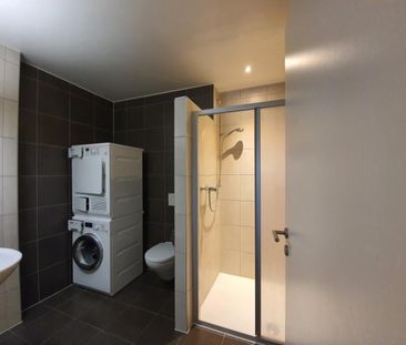 Ch. du Verger 22A, B et C, 1868 COLLOMBEY - Foto 6