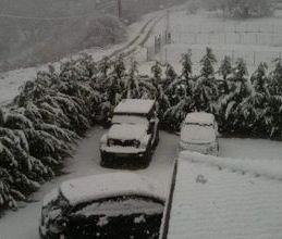 Βίλα για ενοικίαση - Αμφίκλεια, - Photo 3