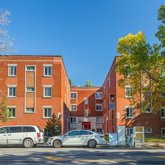 3 ½ - 7619 Christophe-Colomb, Montréal - Nord - Photo 1