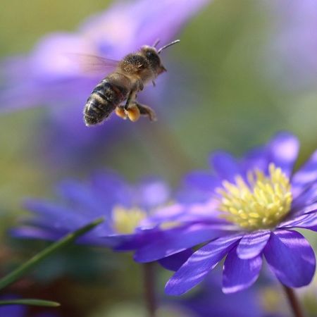 Ingatorpsvägen 1, Rumskulla - Foto 4