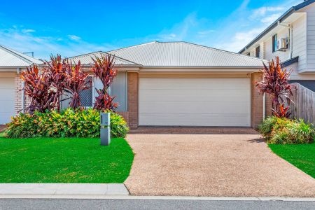 53 Tremain Street, 4173, Tingalpa Qld - Photo 4