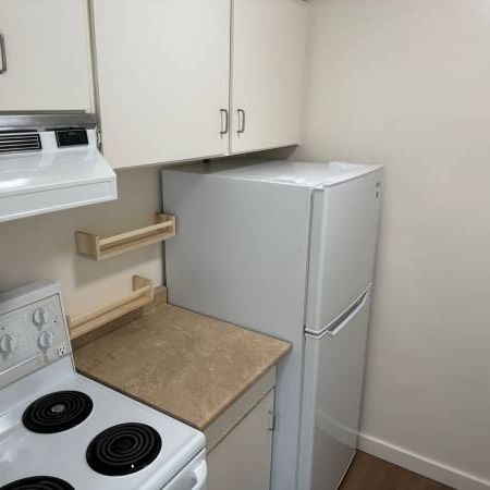 Brand New Renovated Large One Bedroom (Vancouver) - Photo 1