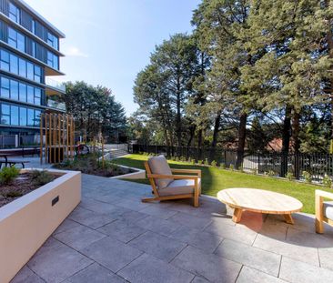 54/9 Light Street, Griffith ACT 2603 - House For Rent | Domain - Photo 3