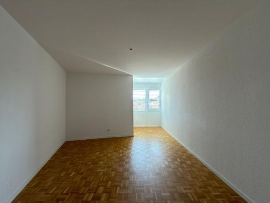 Moderne 4.5-Zimmer-Wohnung / Superbe 4,5 pièces moderne - Photo 1