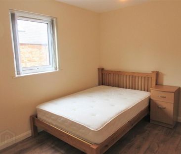 Fitzwilliam Mews, 101c Rugby Avenue, Queens Quarter, Belfast, BT7 1QA - Photo 5