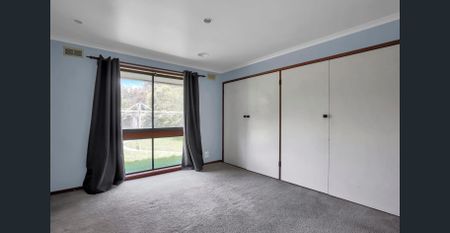 Stylish Comfort, Space to Live, and a Backyard You'll Love - Photo 4