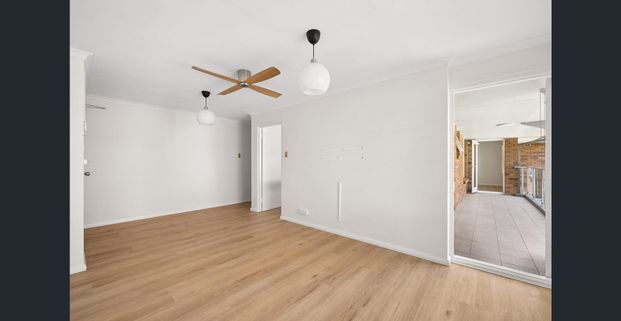 Contemporary apartment oasis with indoor/outdoor flow in prime location - Photo 1