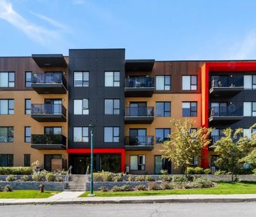 Condo de luxe à louer - Photo 4