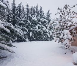Βίλα για ενοικίαση - Αμφίκλεια, - Photo 4