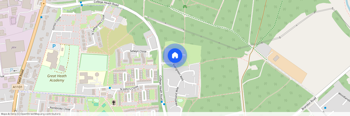 Conifer Close, Mildenhall, Bury St. Edmunds, IP28