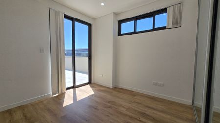 North-Facing Penthouse! - Photo 5