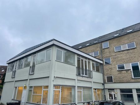 Lys og rummelig 3-værelses lejlighed på 1. sal - Photo 5