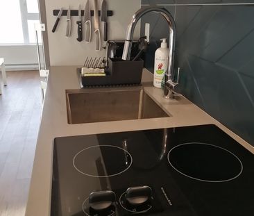 4820 4e Avenue, Montréal (Rosemont, QC H1Y - Photo 5