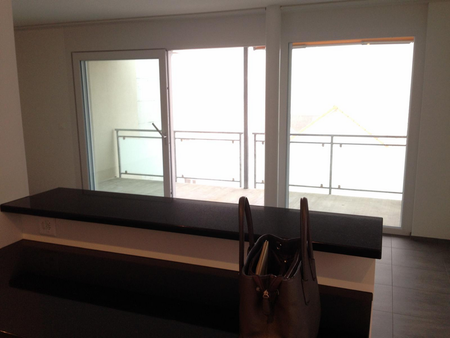Moderne 2.5-Zimmer-Wohnung in Rafz - Photo 3