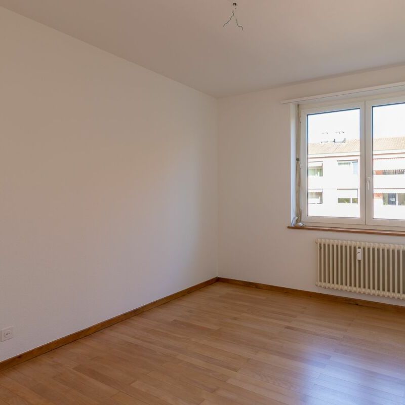 Nähe Schwarzpark und Birs - gemütliche 3-Zimmerwohnung im 3.OG - Photo 1