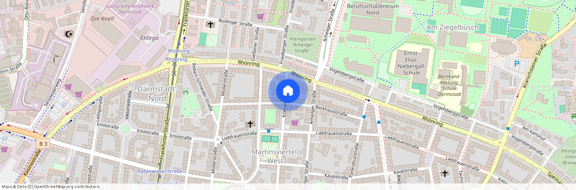 Eckhardtstraße, 29, 64289, Darmstadt