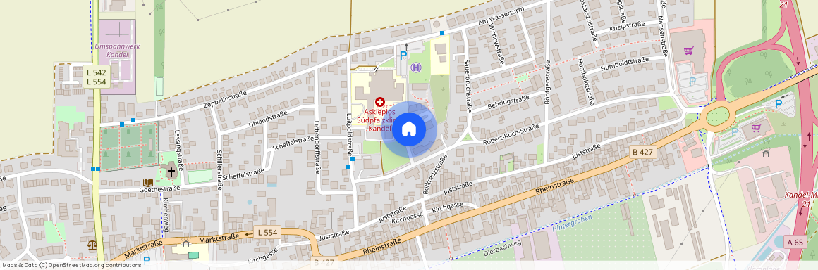 Louis-Pasteur-Straße 1C, 76870 Kandel