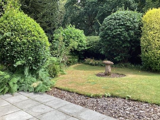 1 bedroom mews to rent - Photo 1